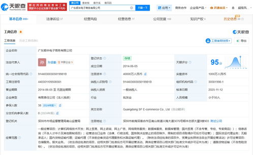 廣東順豐電子商務(wù)公司完成大幅增資，注冊資本躍升至4億元，發(fā)力國內(nèi)貿(mào)易代理業(yè)務(wù)