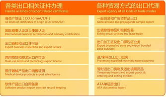 聚焦外貿服務一體化 專業代理報關與商貿對接新路徑